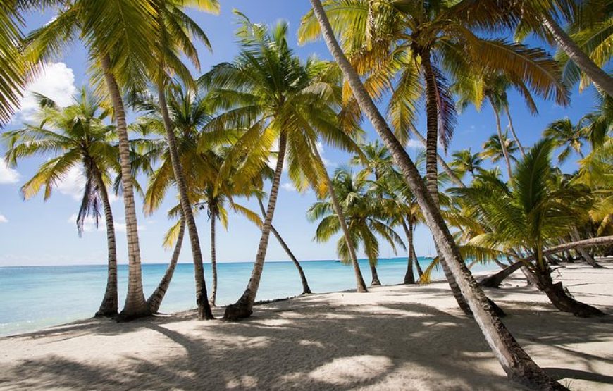 Saona Island by Helicopter